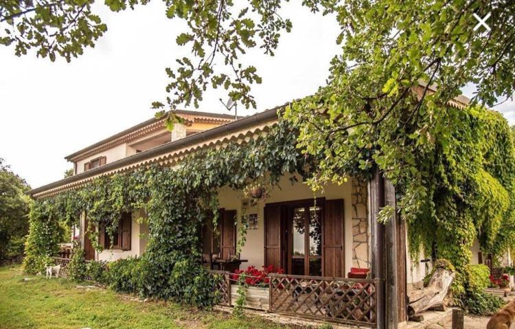 The Forest House Isernia Bagian luar foto
