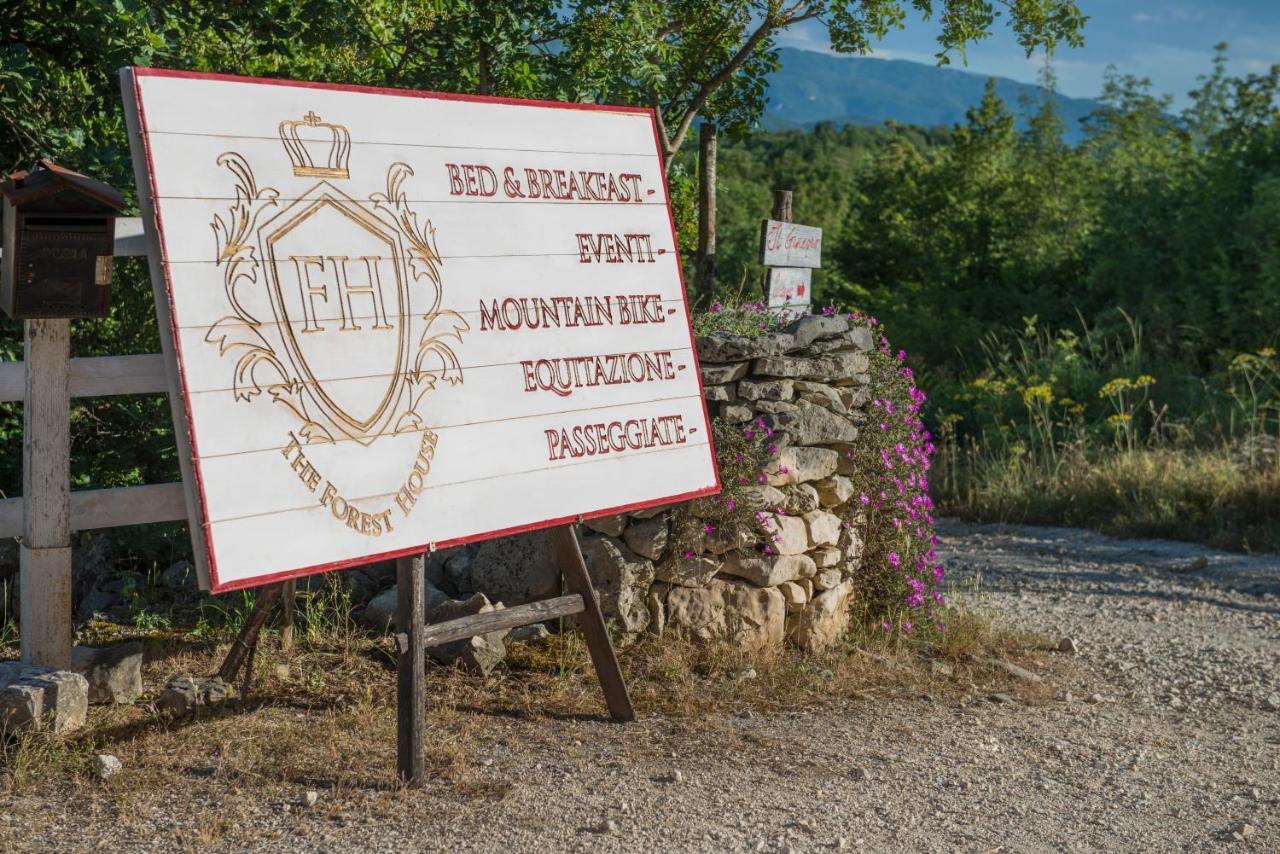 The Forest House Isernia Bagian luar foto