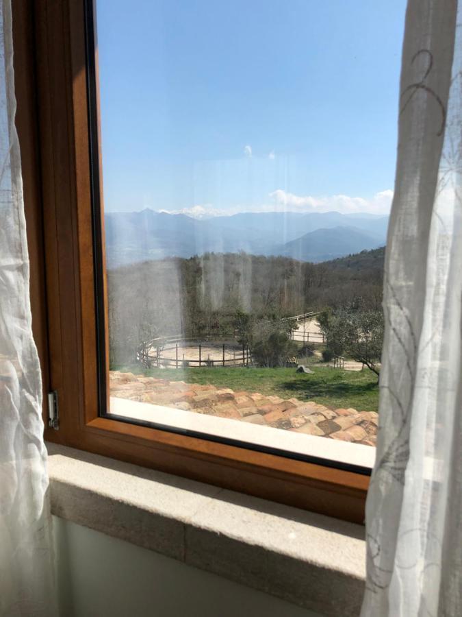 The Forest House Isernia Bagian luar foto