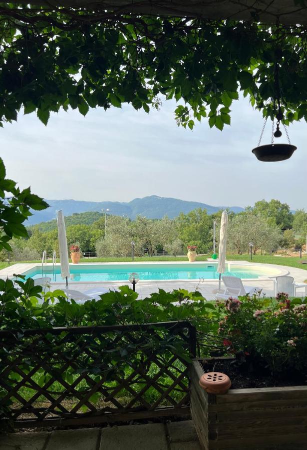 The Forest House Isernia Bagian luar foto